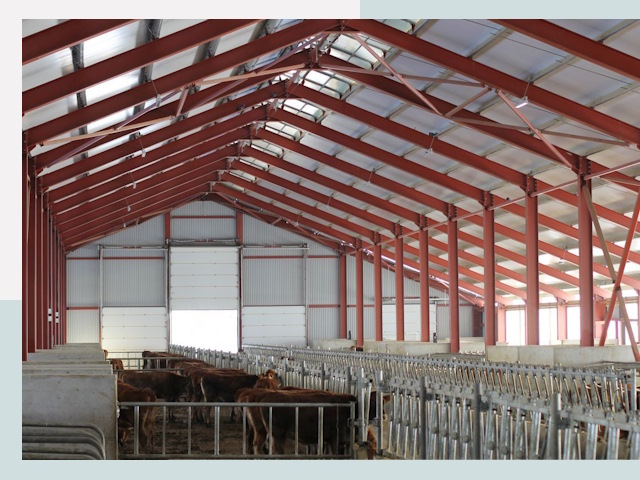 Строительство коровников в Видном