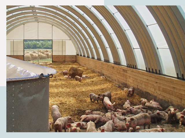 Строительство свинарников в Видном