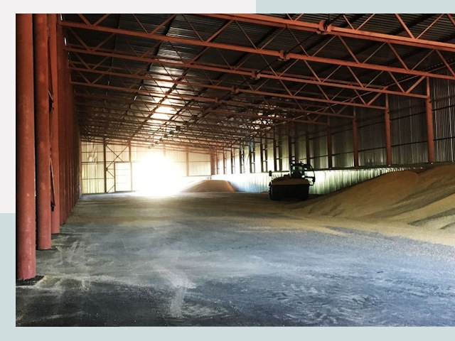 Строительство зернохранилищ в Видном