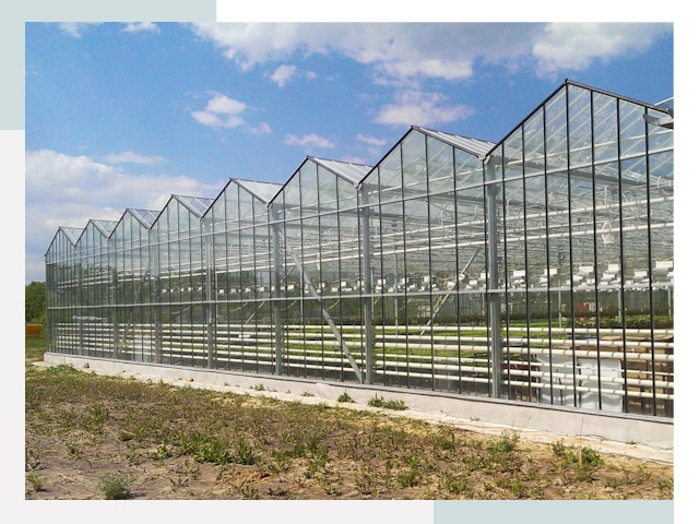 Строительство теплиц в Видное от 621 руб. за м²